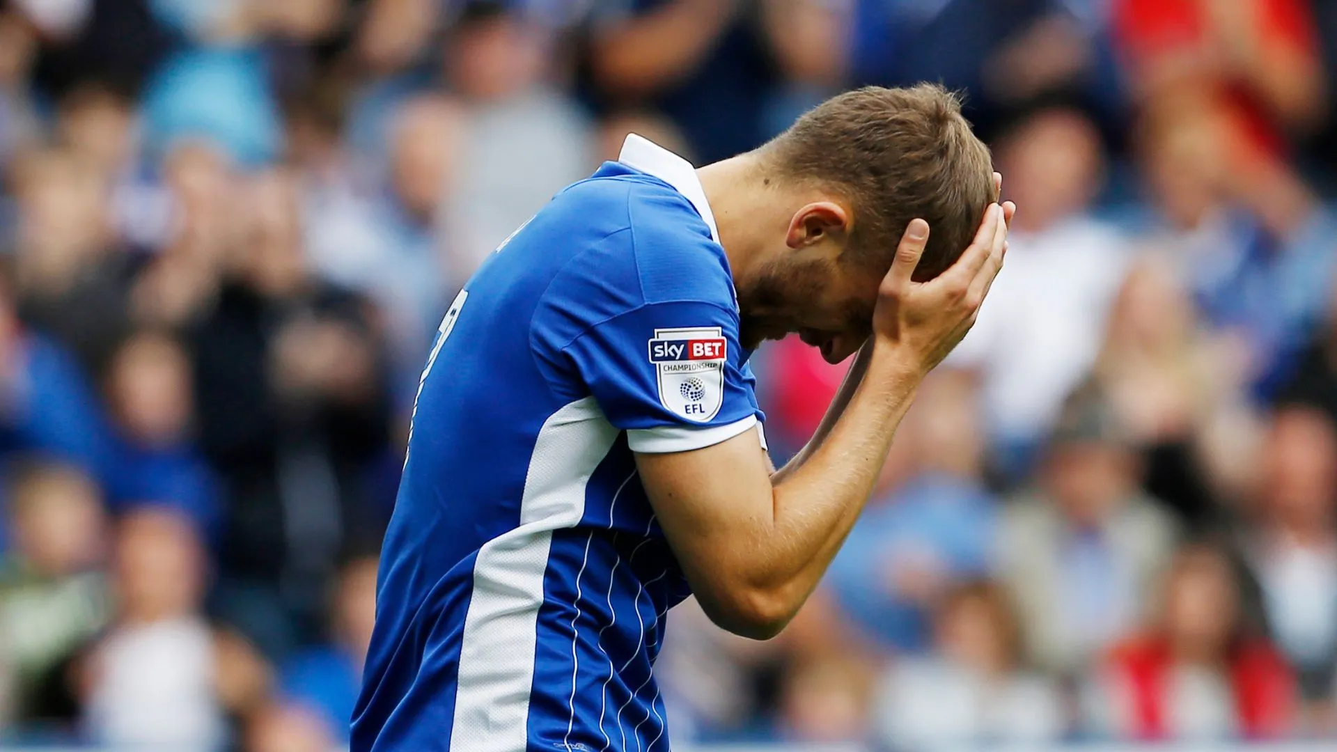Almen Abdi, tiền vệ Almen Abdi trong màu áo Sheffield Wednesday